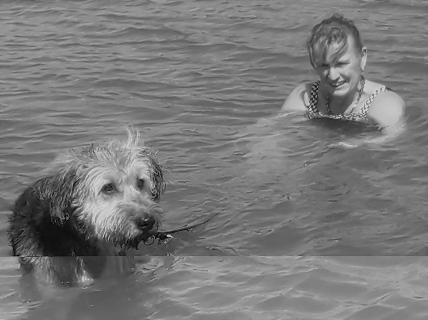 Events/ Spezial in von 4 Beine an der Leine