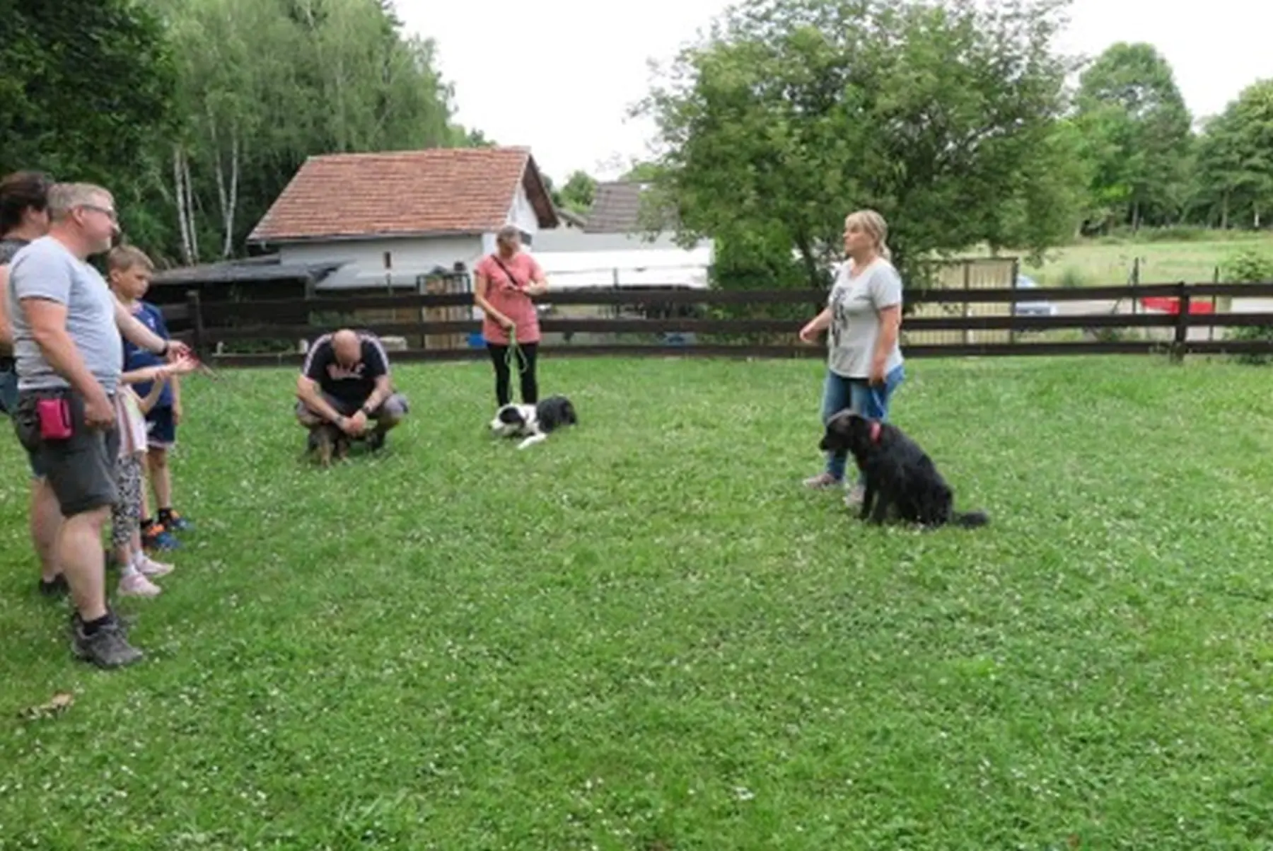 Gruppenstunden von 4 Beine an der Leine