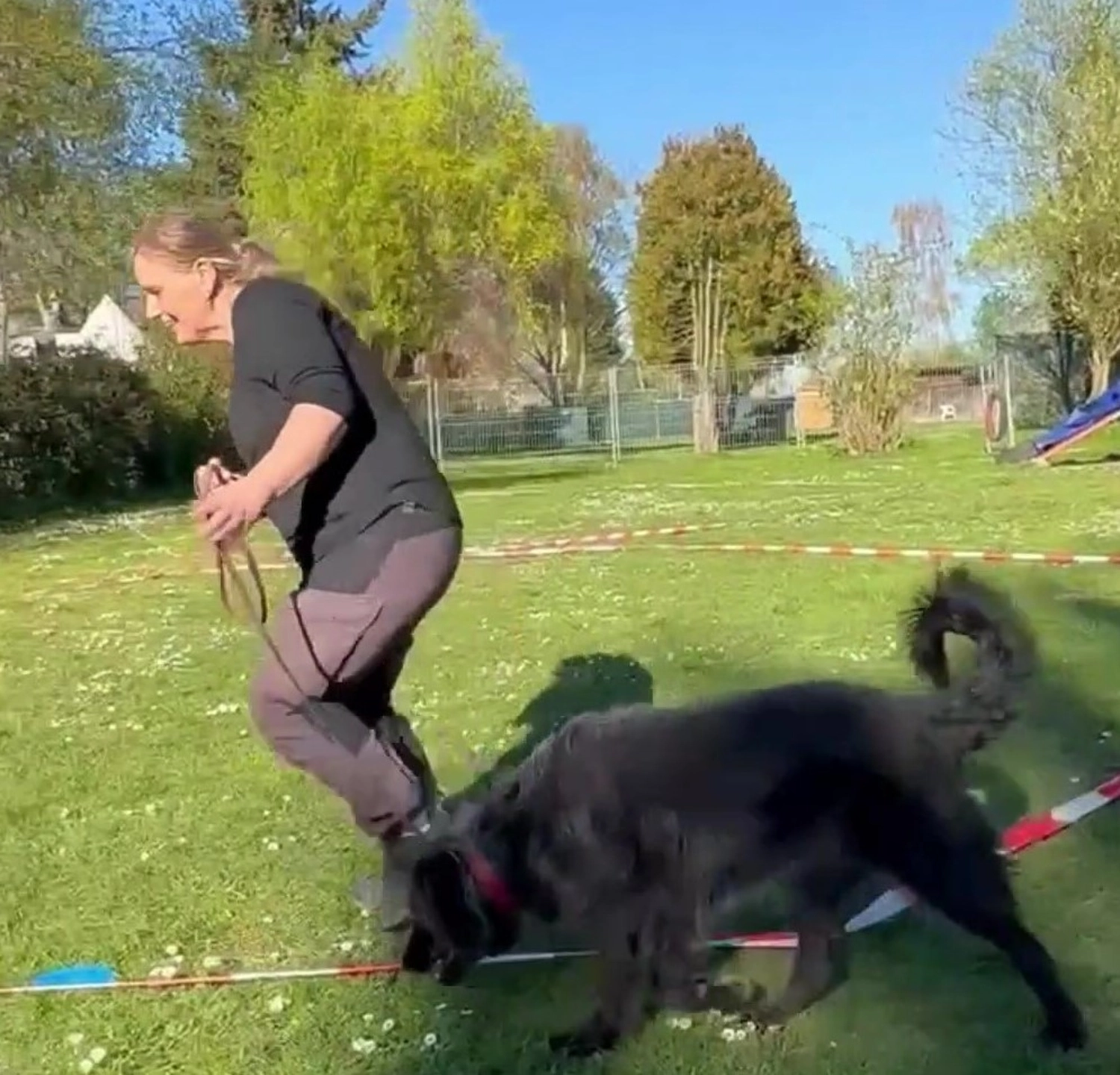 Welpenkurs "Kleine Racker" 2-6 Monate